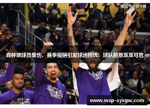 森林狼球员受伤，赛季报销引发球迷担忧：球队前景岌岌可危