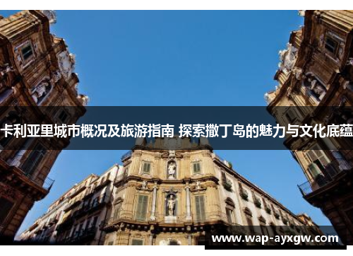 卡利亚里城市概况及旅游指南 探索撒丁岛的魅力与文化底蕴
