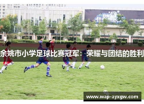 余姚市小学足球比赛冠军：荣耀与团结的胜利
