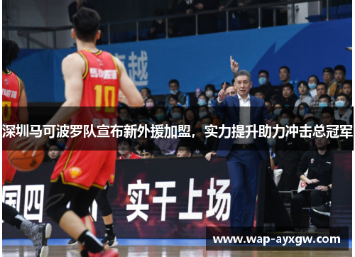 深圳马可波罗队宣布新外援加盟，实力提升助力冲击总冠军