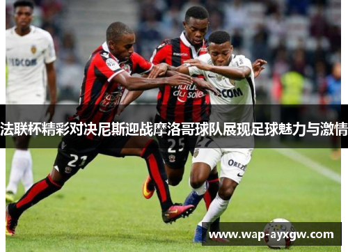 法联杯精彩对决尼斯迎战摩洛哥球队展现足球魅力与激情