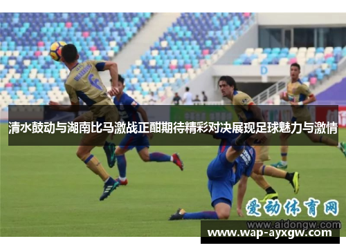 清水鼓动与湖南比马激战正酣期待精彩对决展现足球魅力与激情