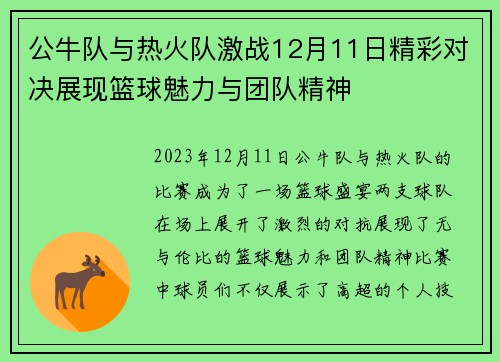 公牛队与热火队激战12月11日精彩对决展现篮球魅力与团队精神